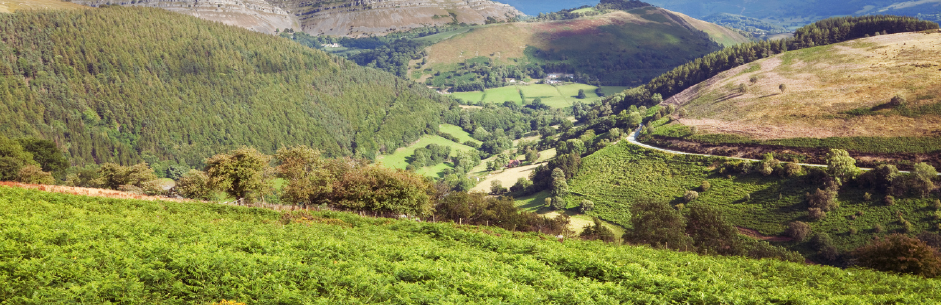 Denbighshire hills