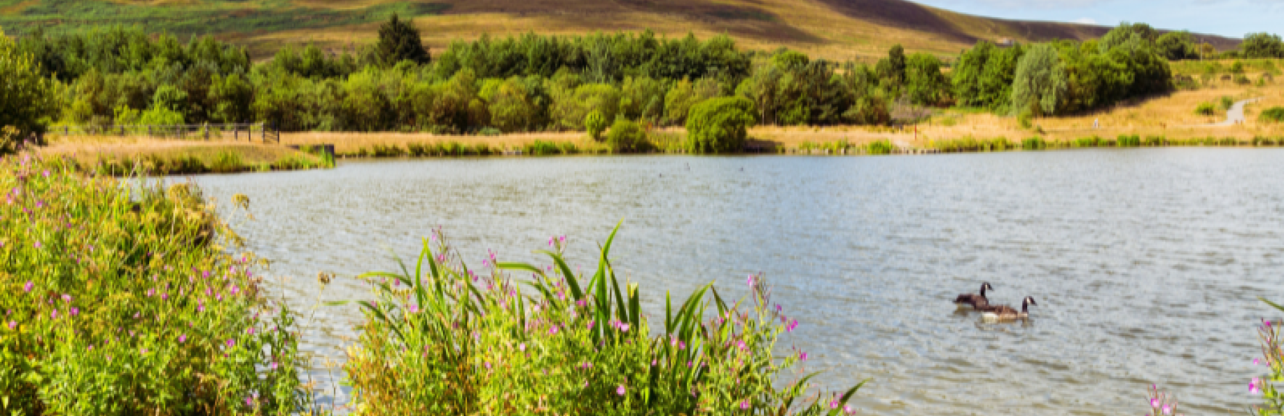 Torfaen Garn Lakes Local Nature Reserve, Blaenavon