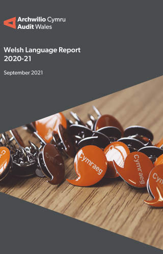 Welsh pin badges