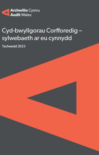 Clawr adroddiad
